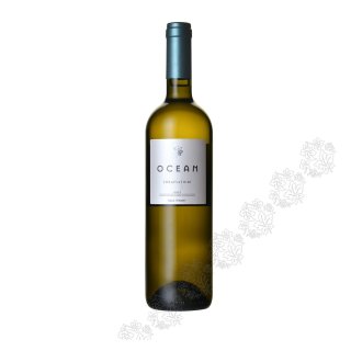 ΙΔΑΙΑ OCEAN ΘΡΑΨΑΘΗΡΙ