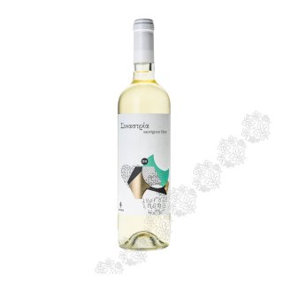 ZACHARIAS WINES SYNASTRY SAUVIGNON BLANC 2023