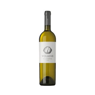 VOLACUS WINERY MALAGOUZIA 2023