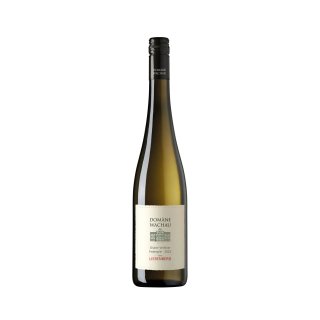 DOMANE WACHAU GRUNER VELTLINER FEDERSPIEL Ried Liebenberg 2022