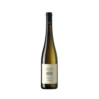 DOMANE WACHAU GRUNER VELTLINER SMARAGD Ried Axpoint 2022