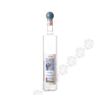 GRAPPA BERTA BIMBA