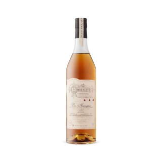 CHATEAU DE BORDENEUVE 3* ARMAGNAC