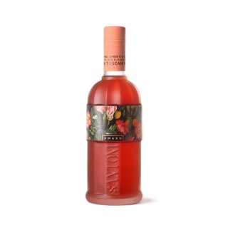 SANTONI AMARO 500ml