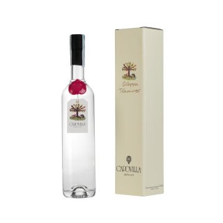 CAPOVILLA GRAPPA DI TRAMINER