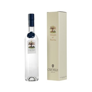 CAPOVILLA GRAPPA DI BAROLO