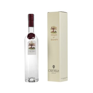 CAPOVILLA GRAPPA DI BRUNELLO