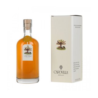 CAPOVILLA DISTILLATO DI VINO BRANDY