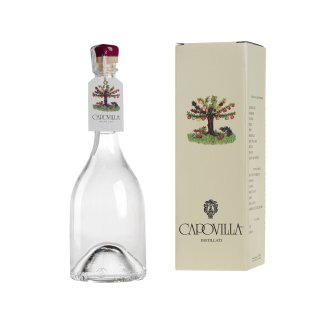 CAPOVILLA DISTILLATO DI UVA MOSCATO ROSA BRANDY