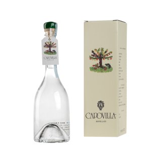 CAPOVILLA DISTILLATO DI PERE WILLIAMS BRANDY