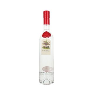 CAPOVILLA GRAPPA DI AMARONE