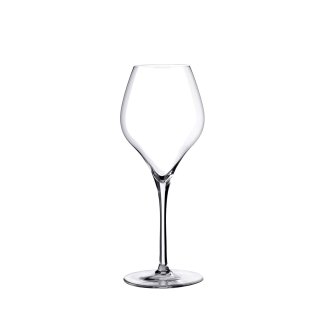 GLASS FOR WHITE WINES SUITE 38